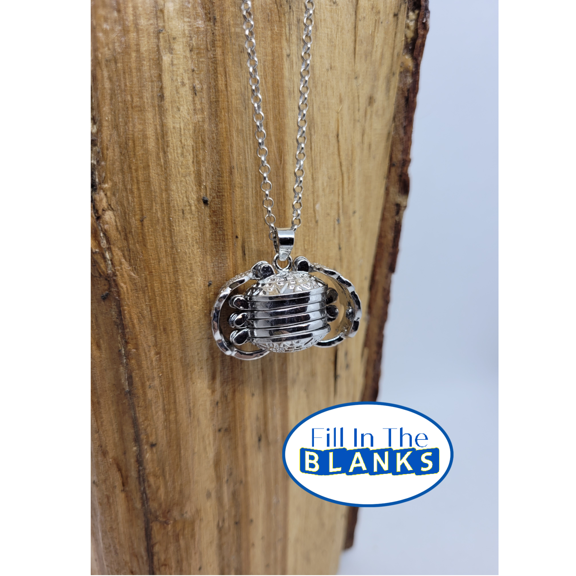 Expanding picture locket on sale